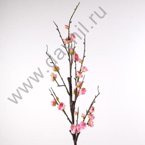 /tmp/v8_Lr0IIr_3fdd.А1-14