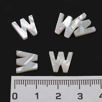 /tmp/v8_Lr0IIr_e325.W10