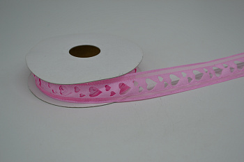 /tmp/v8_Lr0IIr_6d44.DSC_0008