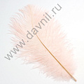 Страусиные перья 10-15 см Страусиные перья 10-15 см
