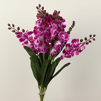 /tmp/v8_Lr0IIr_5f06.А1-59 сиреневая с белым