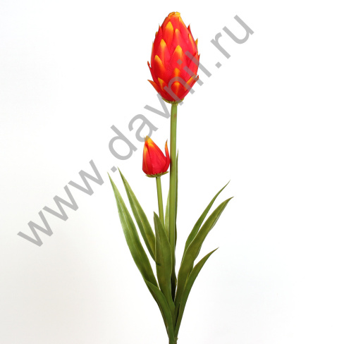 /tmp/v8_Lr0IIr_39fb.А1-82 красный