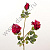 Куст розы бархатной  3 головки 65 см 1 шт. бордовый																														