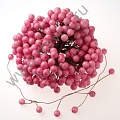 Рябина гладкая 8 мм-12 мм 