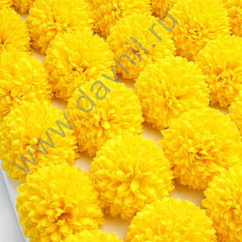 /tmp/v8_Lr0IIr_4038.А2-6-21