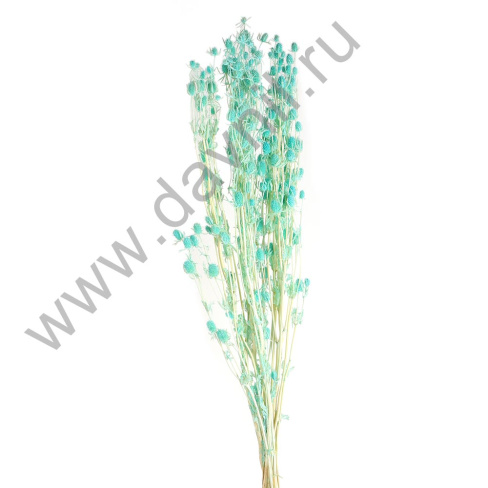 /tmp/v8_Lr0IIr_4422.А20-8 голубой