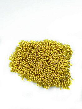 /tmp/v8_Lr0IIr_1b03.photo1697970788 (3)