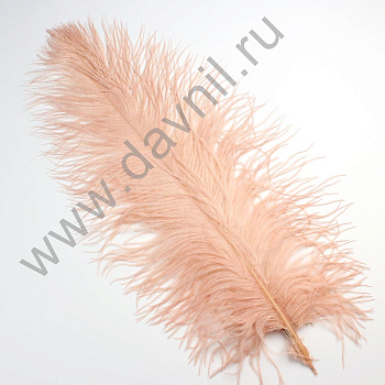 /tmp/v8_Lr0IIr_32e3.А45-2-21 (2)