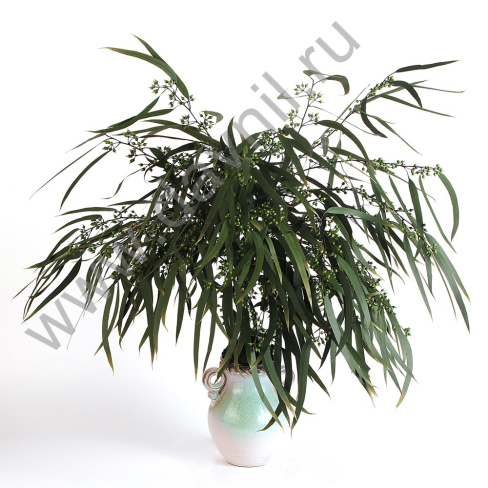 /tmp/v8_Lr0IIr_441d.А20-13 зеленый