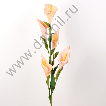 /tmp/v8_Lr0IIr_39cd.А6-11