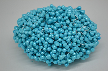 /tmp/v8_Lr0IIr_88d8.DSC_0015