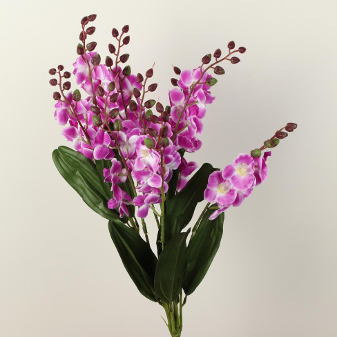 /tmp/v8_Lr0IIr_5f07.А1-59 светло-сиреневый с белым