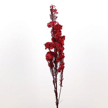 /tmp/v8_Lr0IIr_604d.А20-9 красный