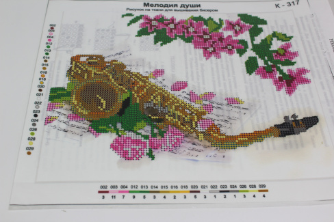 /tmp/v8_Lr0IIr_aa4d.IMG_3072