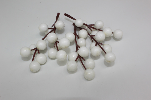 /tmp/v8_Lr0IIr_9925.IMG_3312