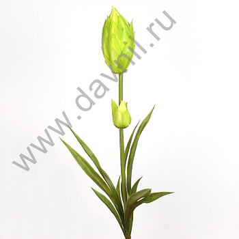 /tmp/v8_Lr0IIr_39fc.А1-82