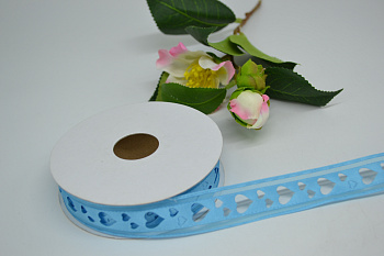 /tmp/v8_Lr0IIr_6d30.DSC_0009