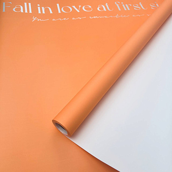 photo_6138776475793475402_y