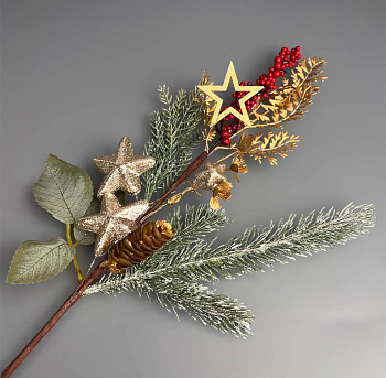 photo_6186017040129264705_y