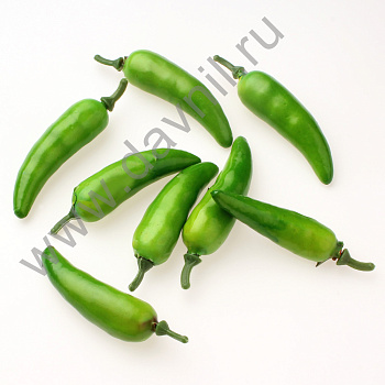 /tmp/v8_Lr0IIr_2a3c.К64-47Ф зеленый