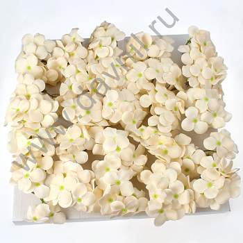 /tmp/v8_Lr0IIr_1755.А2-12-28