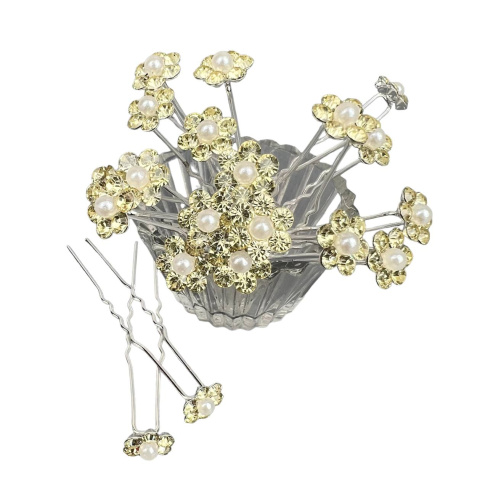 50ca593b-f2a6-4245-8004-6f1301ee7ee5