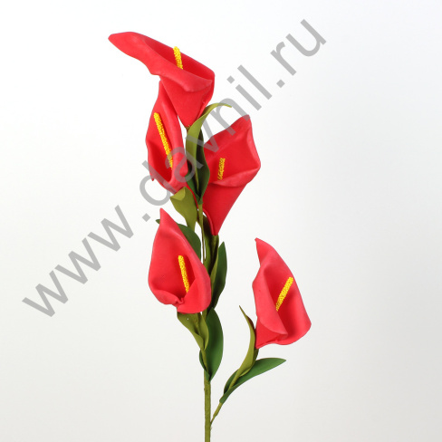 /tmp/v8_Lr0IIr_39c9.IMG_0144