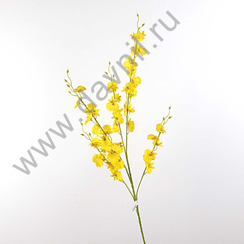 /tmp/v8_Lr0IIr_3a53.А1-1 желтая