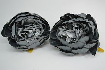 /tmp/v8_Lr0IIr_9a34.DSC_0018