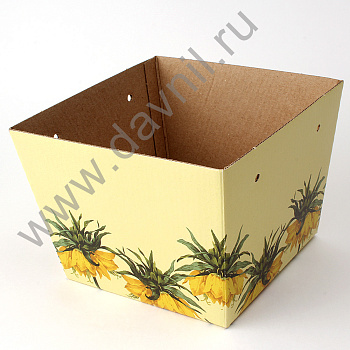 /tmp/v8_Lr0IIr_1609.IMG_0137