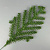 Ветка еловая 11 ответвлений 25 см зеленая Е1-27
