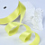 1"(25mm)Double Face Satin Ribbon 525 двухсторонняя сатиновая лента 10 ярдов жёлтая