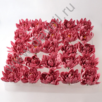 /tmp/v8_Lr0IIr_1822.А2-8-211