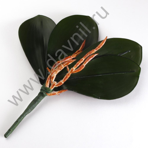 /tmp/v8_Lr0IIr_4106.А1-71