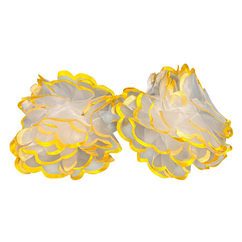 photo_6113975230092397304_y