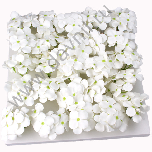 v8_Lr0IIr_1765.А2-12-24